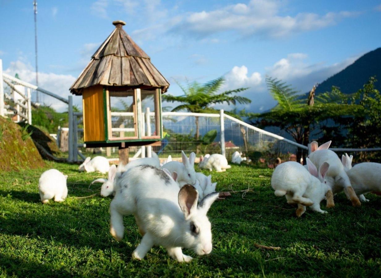 O Chau Homestay ラオカイ エクステリア 写真