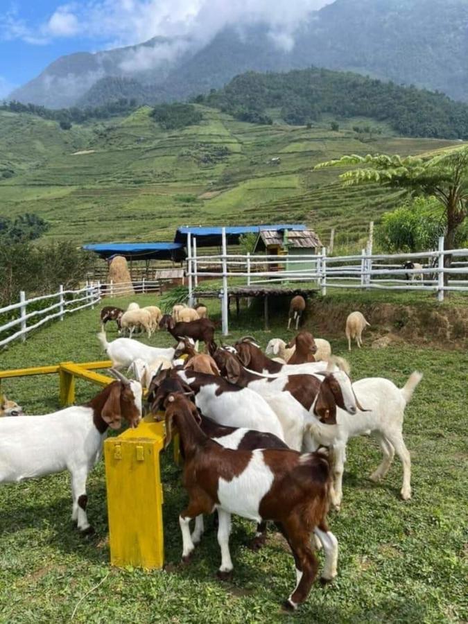 O Chau Homestay ラオカイ エクステリア 写真