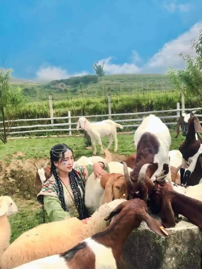 O Chau Homestay ラオカイ エクステリア 写真